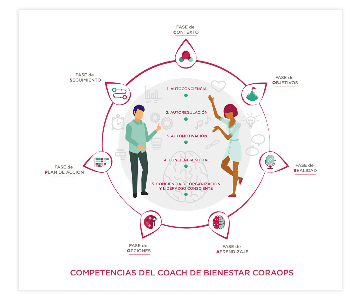 competencias del coach infografía by blubber