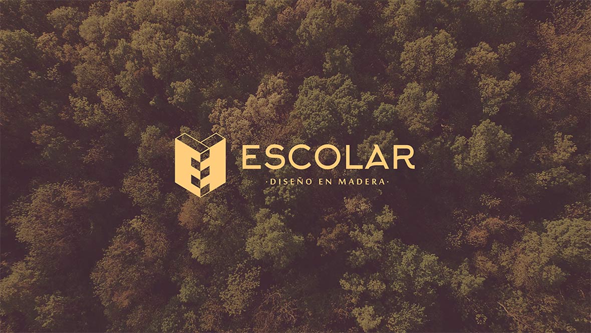 Escolar 5