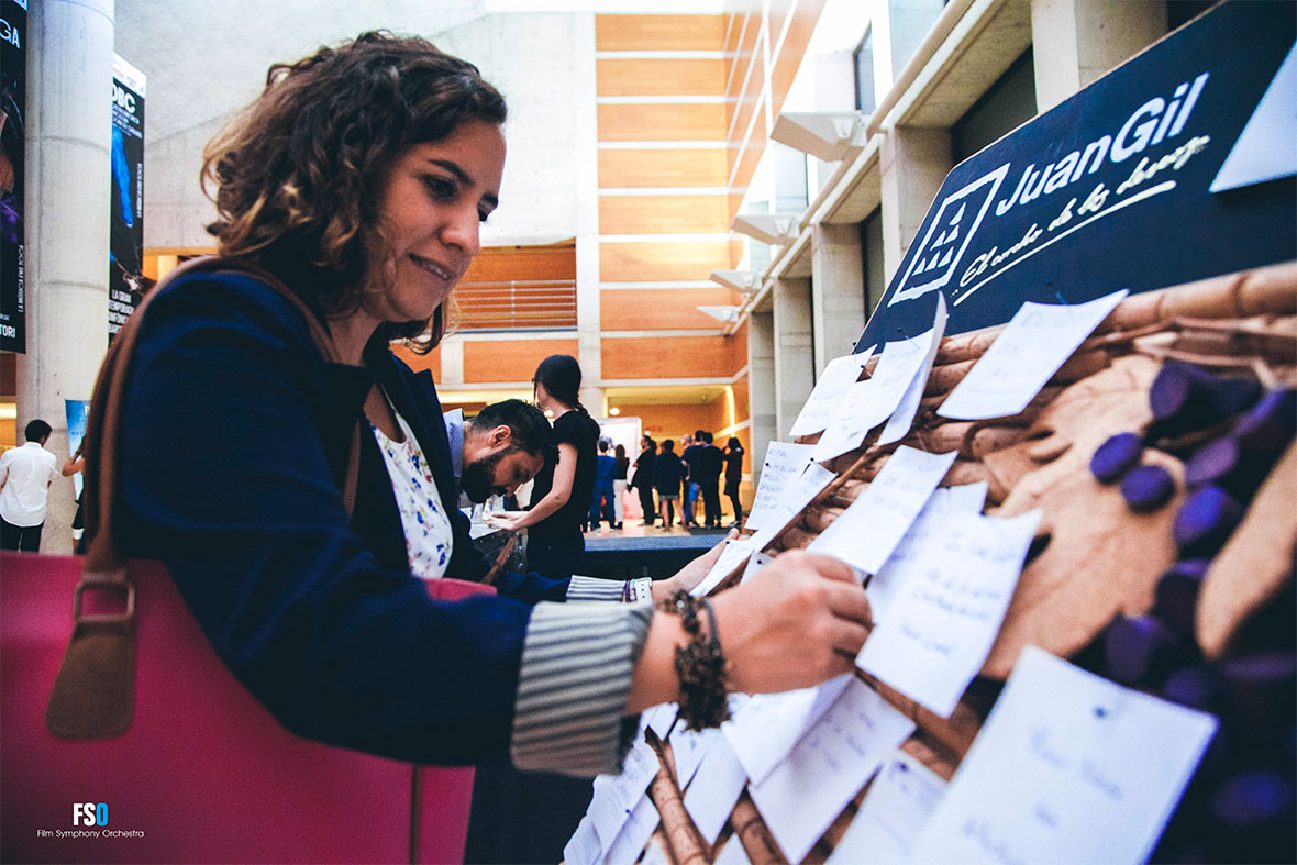 Film Symphony Orchestra 2