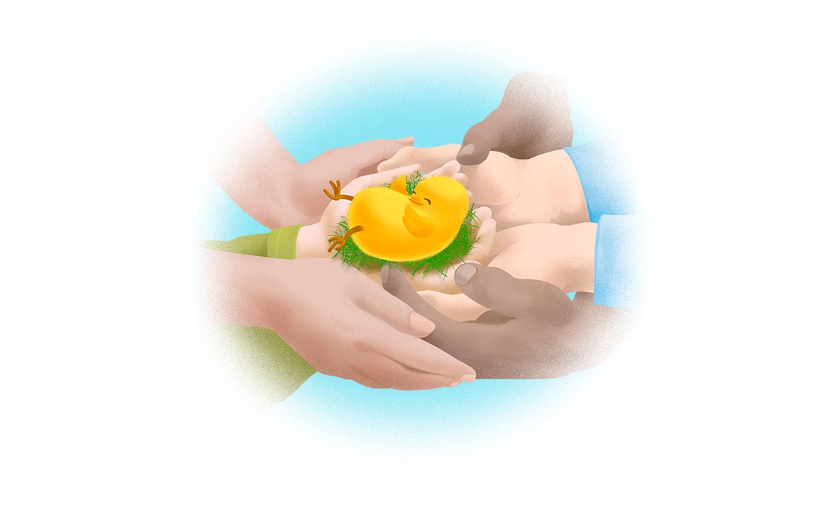 Pañal Family Club 5-2